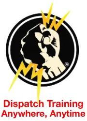 Public Safety Group logo